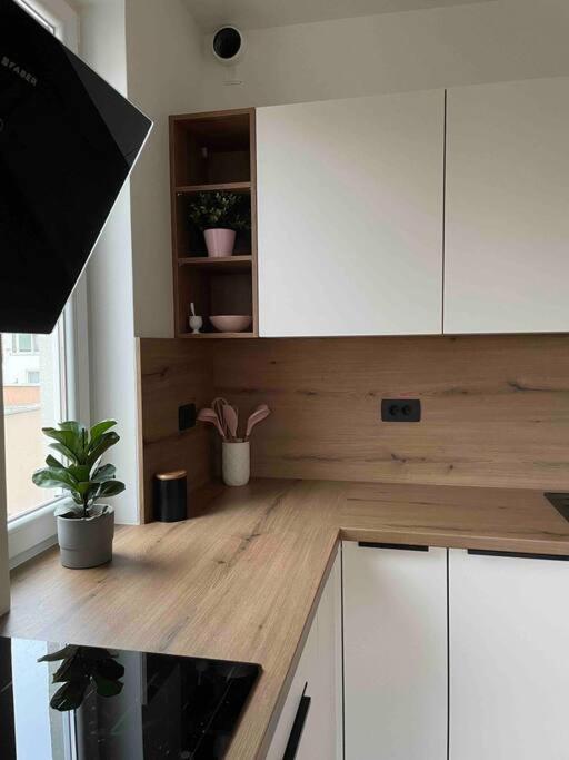Mely Rose Appartement Ljubljana Buitenkant foto