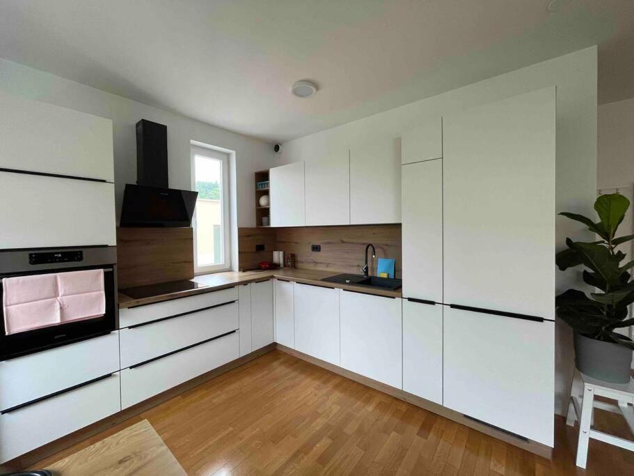 Mely Rose Appartement Ljubljana Buitenkant foto