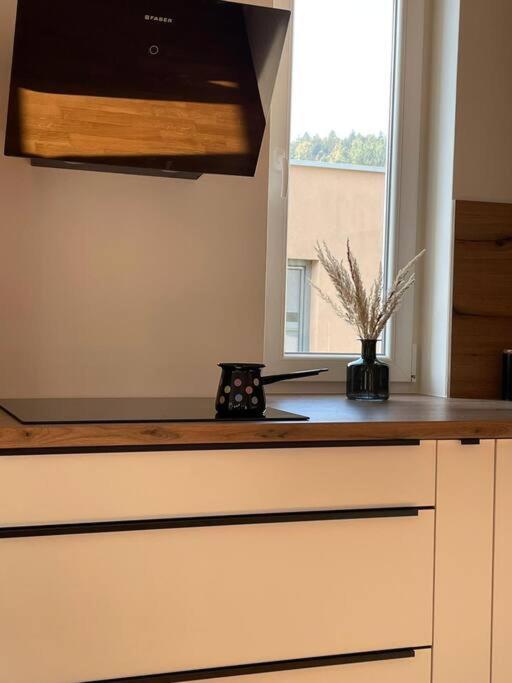 Mely Rose Appartement Ljubljana Buitenkant foto